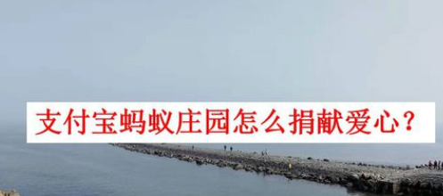 支付宝蚂蚁庄园如何捐献爱心？