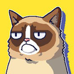 不爽的猫APP