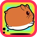 仓鼠农场app