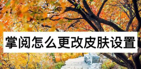 掌阅怎么设置皮肤？