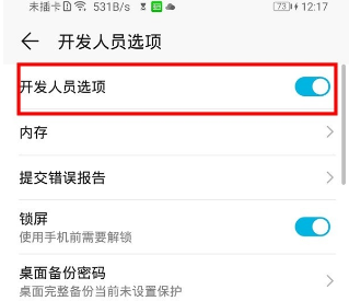 荣耀20青春版如何打开开发者选项