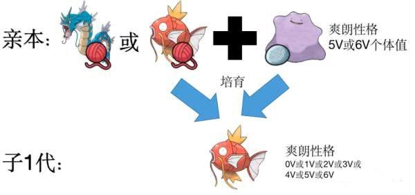 宝可梦剑盾怎么孵蛋 