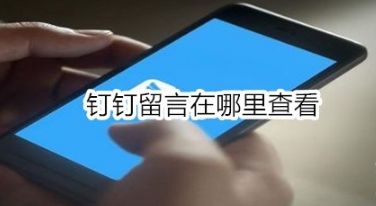 钉钉留言在什么位置查看