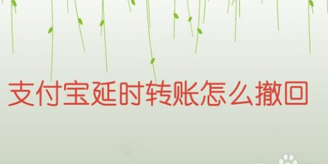 支付宝延时转账如何撤回？