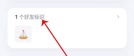 手机QQ怎么查看与指定好友的标识