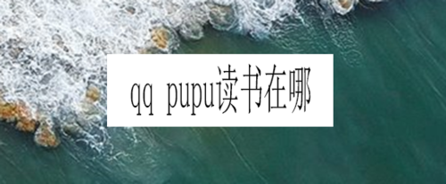 QQ的pupu读书在什么位置