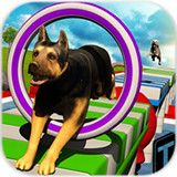特技狗狗APP