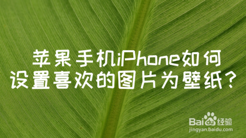 iPhone怎么设置喜欢图片为壁纸
