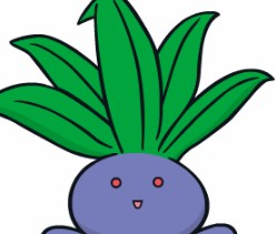 宝可梦剑盾走路草有什么特性