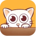家里的猫