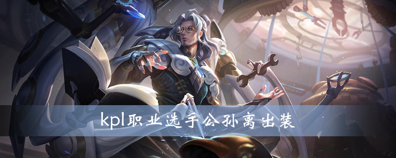 王者荣耀kpl职业选手公孙离怎么出装