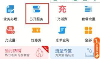 移动掌上营业厅已开业务怎么查看_移动掌上营业厅查看已开业务