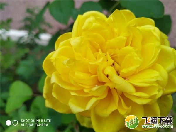 小米8青春版拍照效果实用评测_52z.com