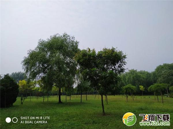 小米8青春版拍照效果实用评测_52z.com