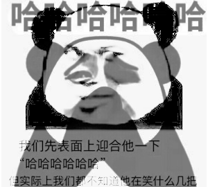 表面大佬大佬双层表情包