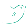 军鸽app