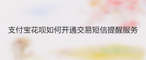 支付宝花呗怎么开通交易短信提醒服务