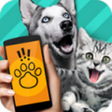 动物语言翻译器app