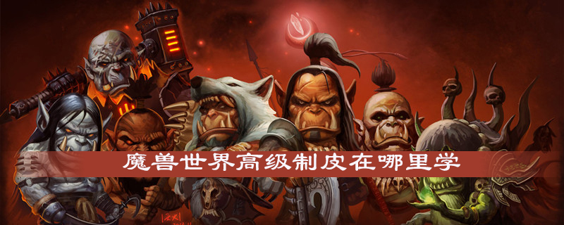 魔兽世界高级制皮去哪里学