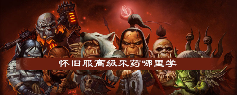 魔兽世界怀旧服怎么学高级采药
