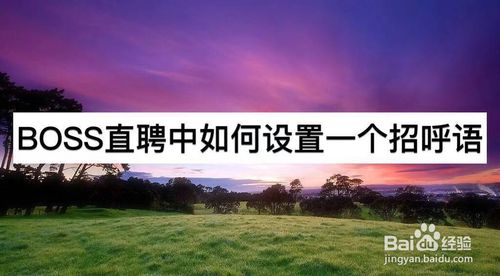 BOSS直聘中怎么设置一个招呼语