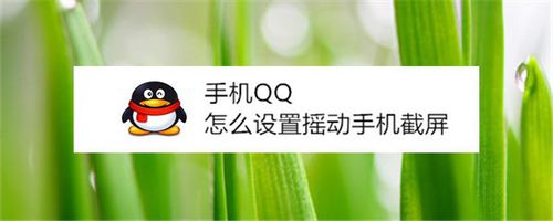 手机QQ在哪打开摇动手机截屏？