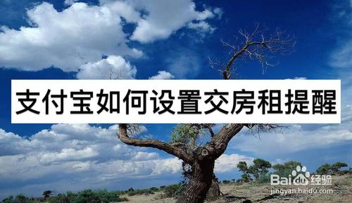 支付宝如何设置交房租提醒？