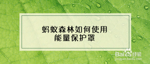 蚂蚁森林能量保护罩怎么用？