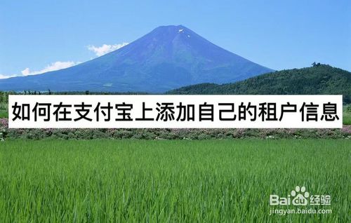 怎么在支付宝上添加自己的租户信息