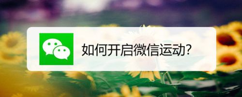 微信运动怎么打开？