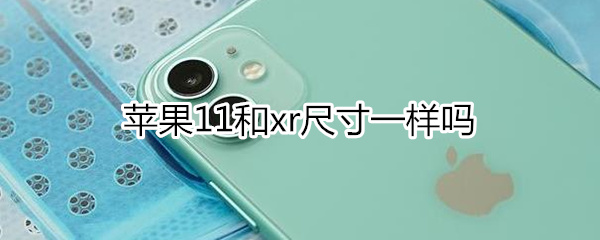 iphone11和xr尺寸相同吗