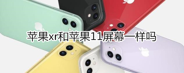 iphonexr和iphone11屏幕分别是多大