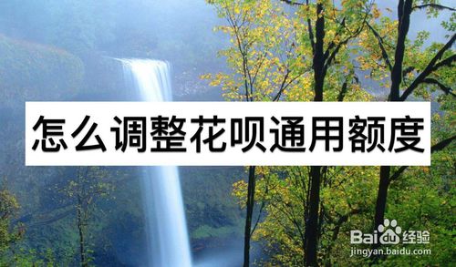 如何调整花呗的通用额度