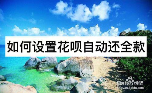 怎么设置花呗自动还款全额