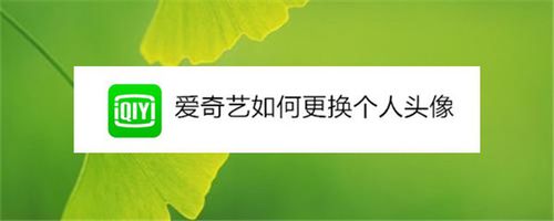 爱奇艺怎么更换个人头像