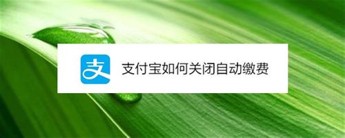 支付宝自动缴费怎么关闭