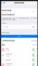 iphone如何设置增量下载