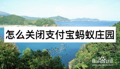如何关闭支付宝蚂蚁庄园