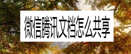 微信腾讯文档如何共享
