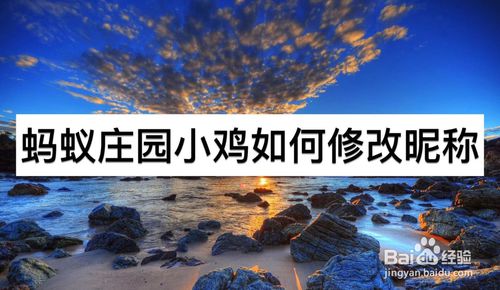 蚂蚁庄园小鸡怎么修改昵称