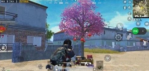 和平精英烟花树在什么位置?