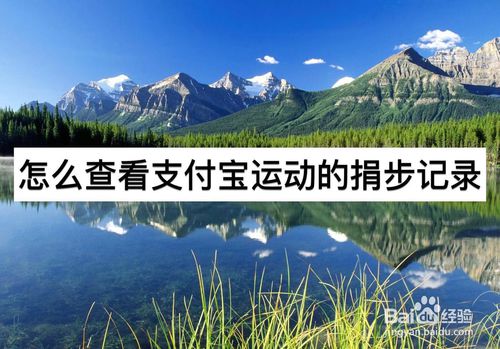 如何查看支付宝运动的捐步记录