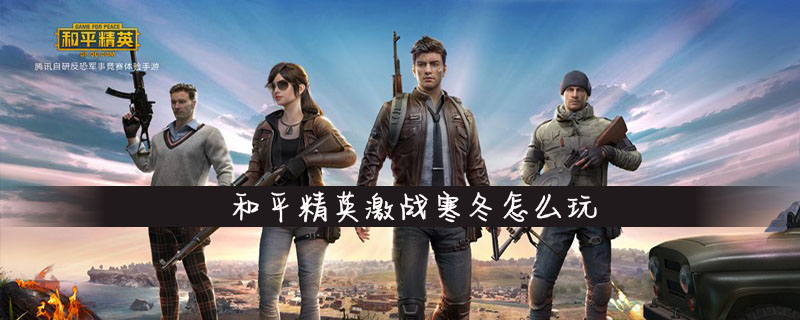 和平精英激战寒冬有什么