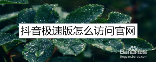 抖音极速版如何访问官网