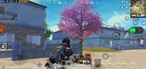 和平精英烟花树在什么位置