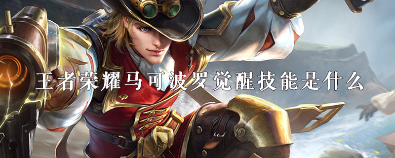王者荣耀马可波罗觉醒技能什么样