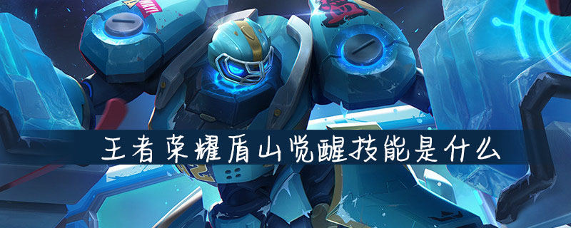 王者荣耀盾山觉醒技能强吗