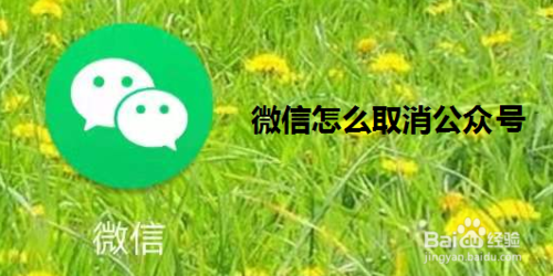 微信怎么取消关注公众号