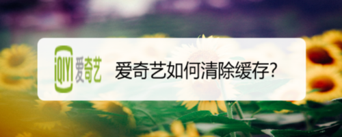 爱奇艺怎么清除缓存