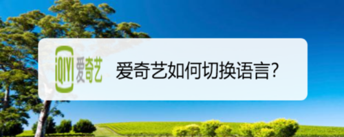 爱奇艺怎么切换语言